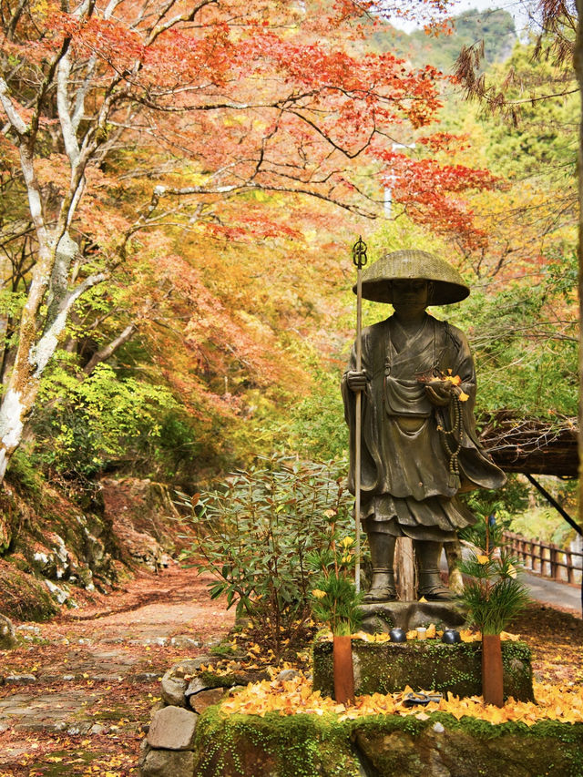 【ここ行って】本当は教えたくない🙅 聖徳太子の開基 とされる紅葉寺院✨