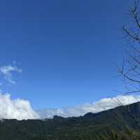 米達樂也 露營趣