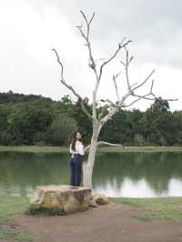 อ่างเก็บน้ำในอุทยานเขาใหญ่🍃