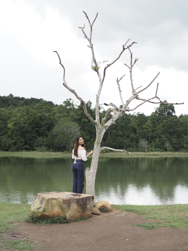 อ่างเก็บน้ำในอุทยานเขาใหญ่🍃
