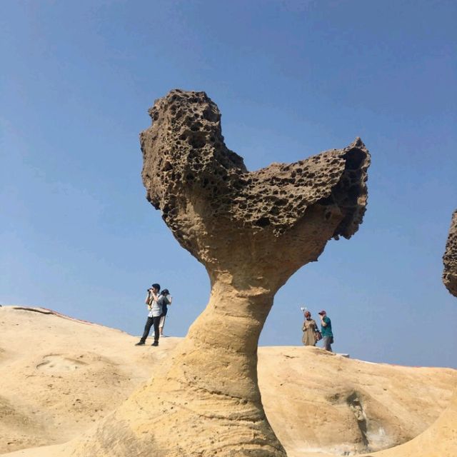 Yehliu Geopark: A Surreal Encounter with Nature's Sculptures