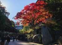 Fall season at the biggest temple in Korea, Guinsa Temple