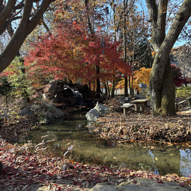A Beautiful Escape: Nami Island Review