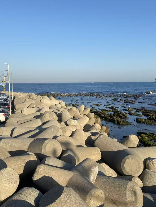🇰🇷青沙浦海景佳｜但避雷「道熙家」烤海鮮
