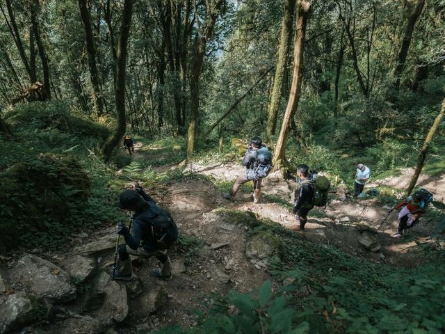 Mardi Himal 