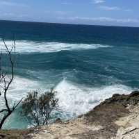 Fraser Island Day Trip 