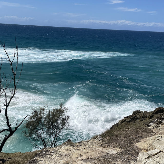 Fraser Island Day Trip 