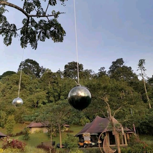 Luxury glamping on Xmas day
