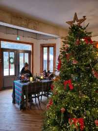 대형트리가 있는 거제도 크리스마스카페🎄
