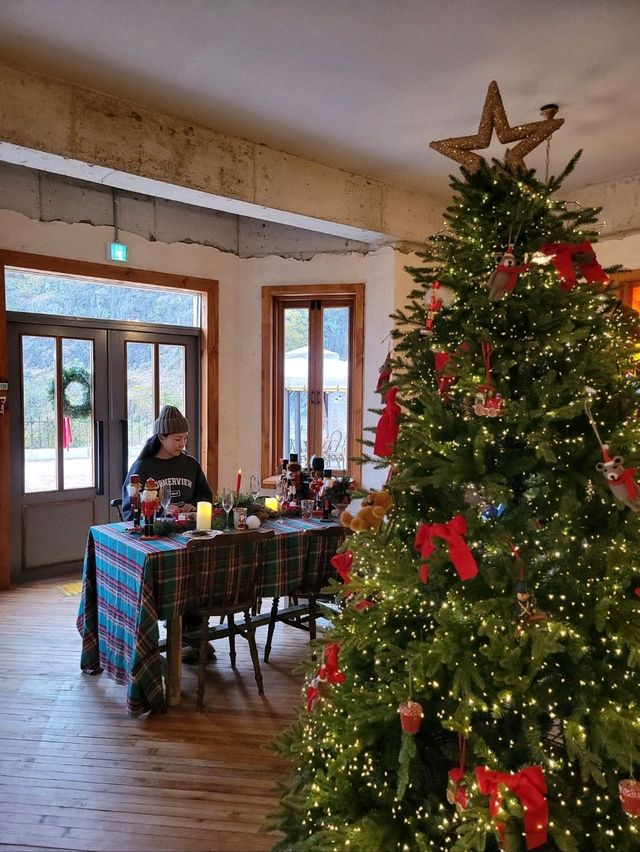 대형트리가 있는 거제도 크리스마스카페🎄