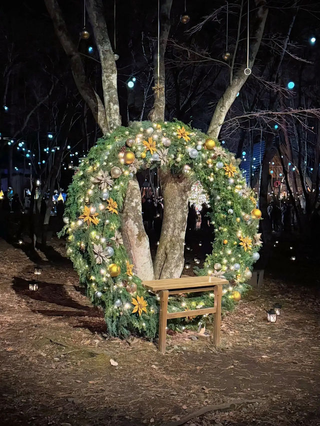【軽井沢】キャンドルランタンの世界へ🕯おすすめクリスマスイルミネーション