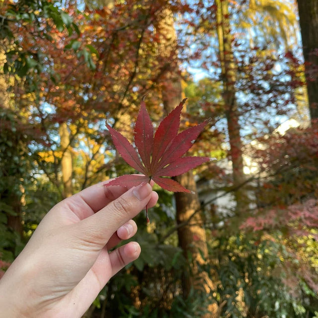 หางโจว สวรรค์บนดิน 🌳🌈
