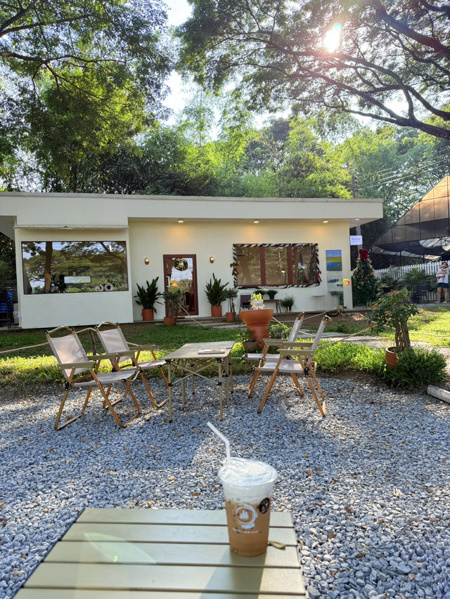 📍Apollo Cafe & Yard คาเฟ่ฟีลเขาใหญ่ในลำพูน