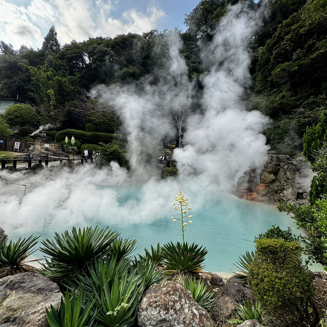 Beppu Hot Springs Hells Tour