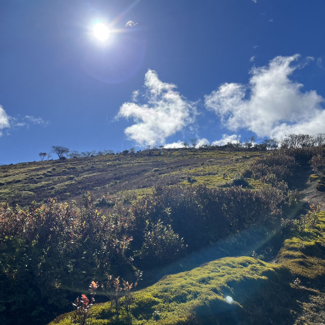 【藤原岳】　⛰️鈴鹿セブンマウンテン