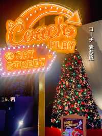 【表参道】🎄クリスマスムード満喫🎁