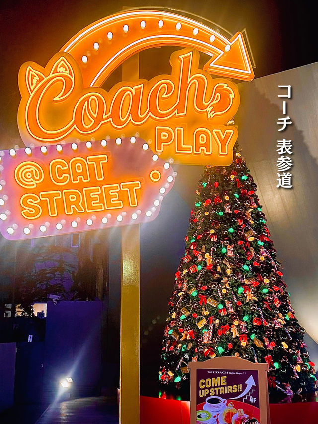 【表参道】🎄クリスマスムード満喫🎁