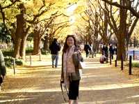【思思賢嘆世界】東京賞銀杏必去！—— 明治神宮外苑！✨ 