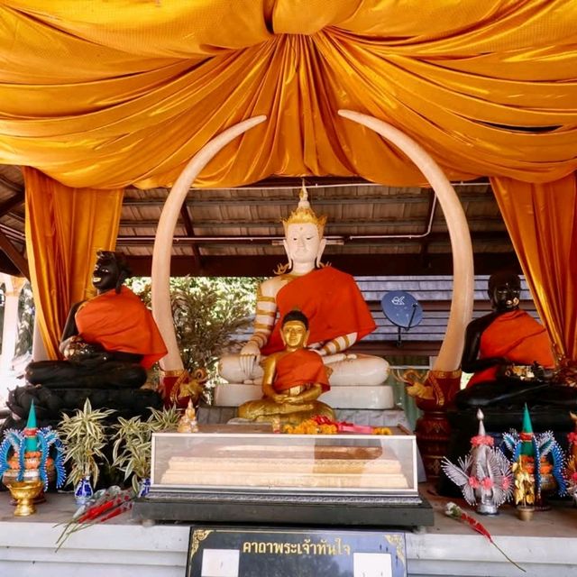 วัดพระธาตุดอยตุง ณ แม่สาย จ. เชียงราย