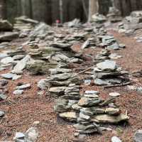 Take in Queenstown's Beauty: A Hike Up Queenstown Hill