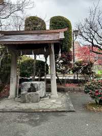 【熊本大神宮】