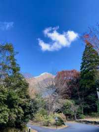 Kinrin Lake: The Heart of Yufuin’s Natural Beauty