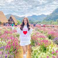 สวนดอกไม้ที่รอคอย🌻🌼🌺 ฮอกไกโด เขาใหญ่