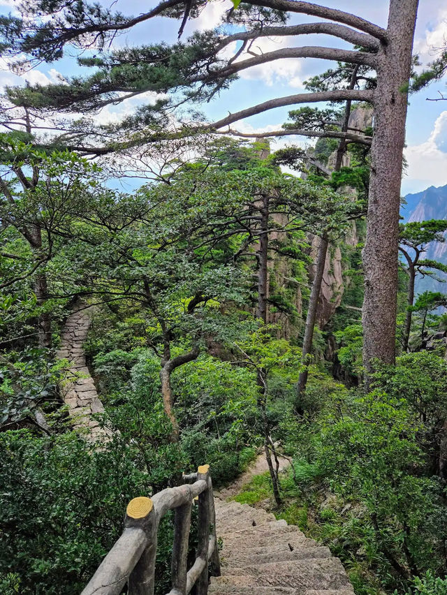 Huangshan Mountain 