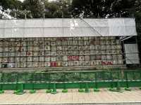 A Serene Escape and Beauty of Yoyogi Park**