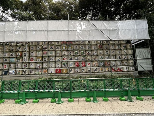 A Serene Escape and Beauty of Yoyogi Park**