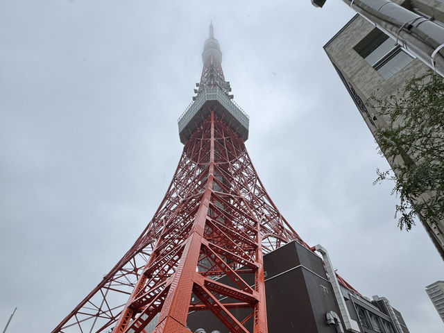 雨中的東京鐵塔，宛如夢幻✨