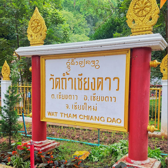 ไหว้หลวงพ่อทันใจ วัดถ้ำเชียงดาว - เชียงใหม่