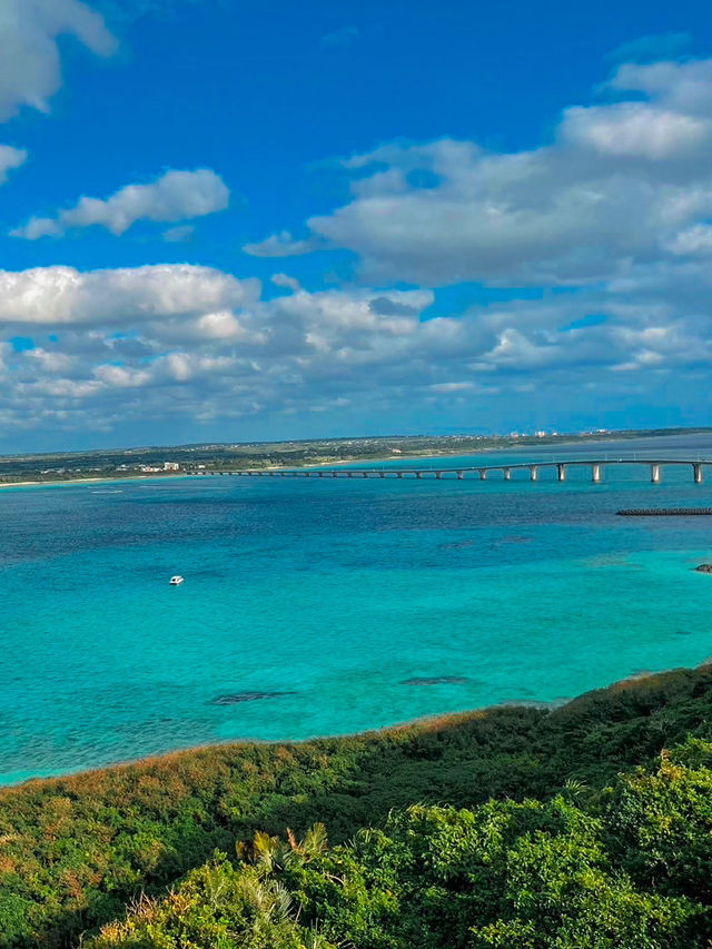 【宮古島】絶景を独り占め！来間島の穴場スポット🌳