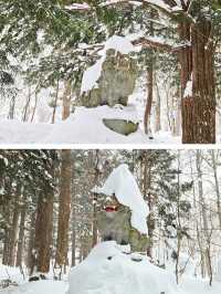 【長野／長野市】雪が降る戸隠神社の杉並木と中社⁡