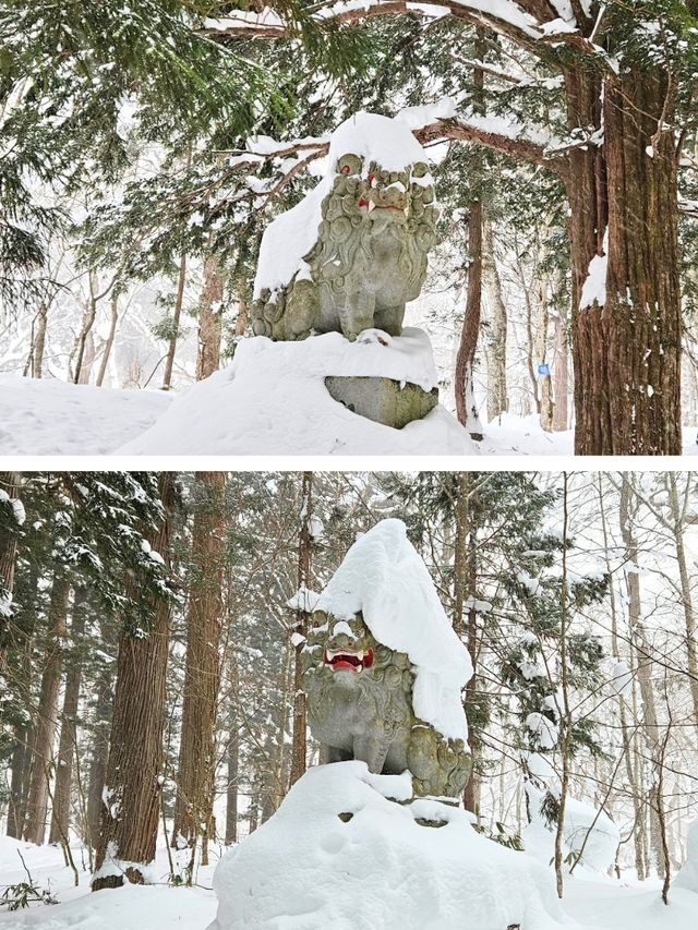 【長野／長野市】雪が降る戸隠神社の杉並木と中社⁡