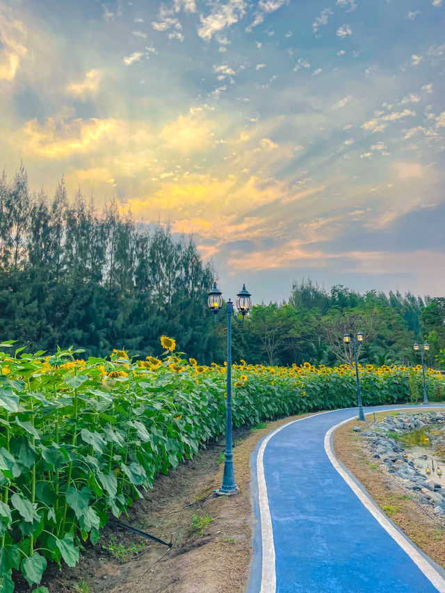 บ้านไร่นายรุ่ง | กาญจนบุรี 🌻
