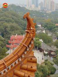 หอนกกระเรียนเหลือง - อู๋ฮั่น🇨🇳