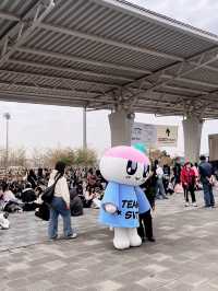 追星女孩👧🏻首爾快閃全記錄：SEVENTEEN演唱會