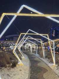 작년보다 더 화려해져 산책하기 좋은 서울 빛축제 추천🎄