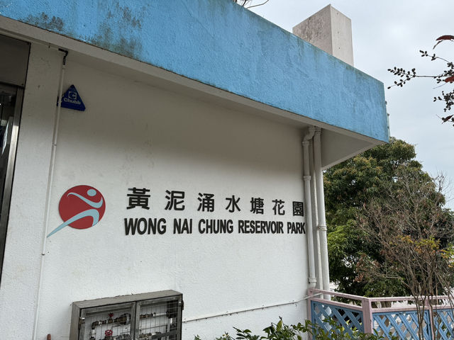 黃泥涌水塘：情人節的浪漫逃逸地 💖🏞️