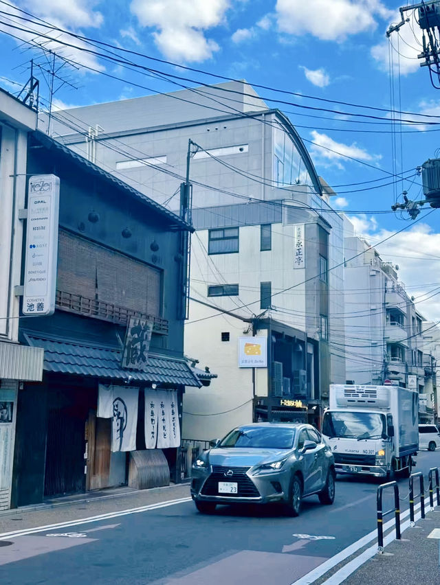 일본 교토를 가신다면 필수 코스🇯🇵