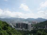 10,000 Buddhas, One Journey: A Peaceful Escape in Sha Tin
