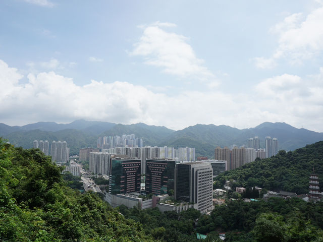 10,000 Buddhas, One Journey: A Peaceful Escape in Sha Tin