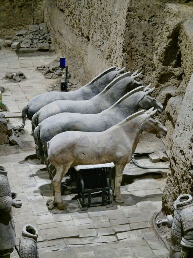 西安秦始皇陵博物館‐古代中國歷史最佳的地方🤩，真的很震撼！！🥹🤍