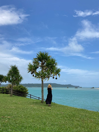 Kaichu Road in Okinawa