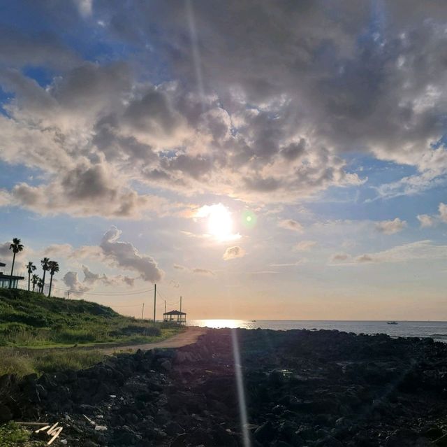 제주 서쪽 코스