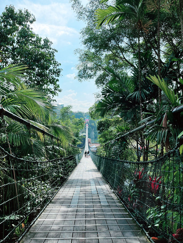 Sunway Lagoon Theme Park - Play from Day to Night 