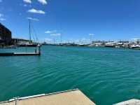 Sofitel Auckland Viaduct Harbour