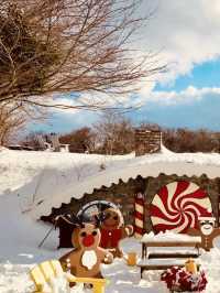 Jeju Winter Wonderland: A Nostalgic Trip to Eco Land Theme Park