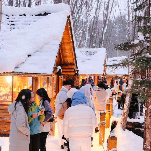 A Day in Biei & Furano 🌨️❄️